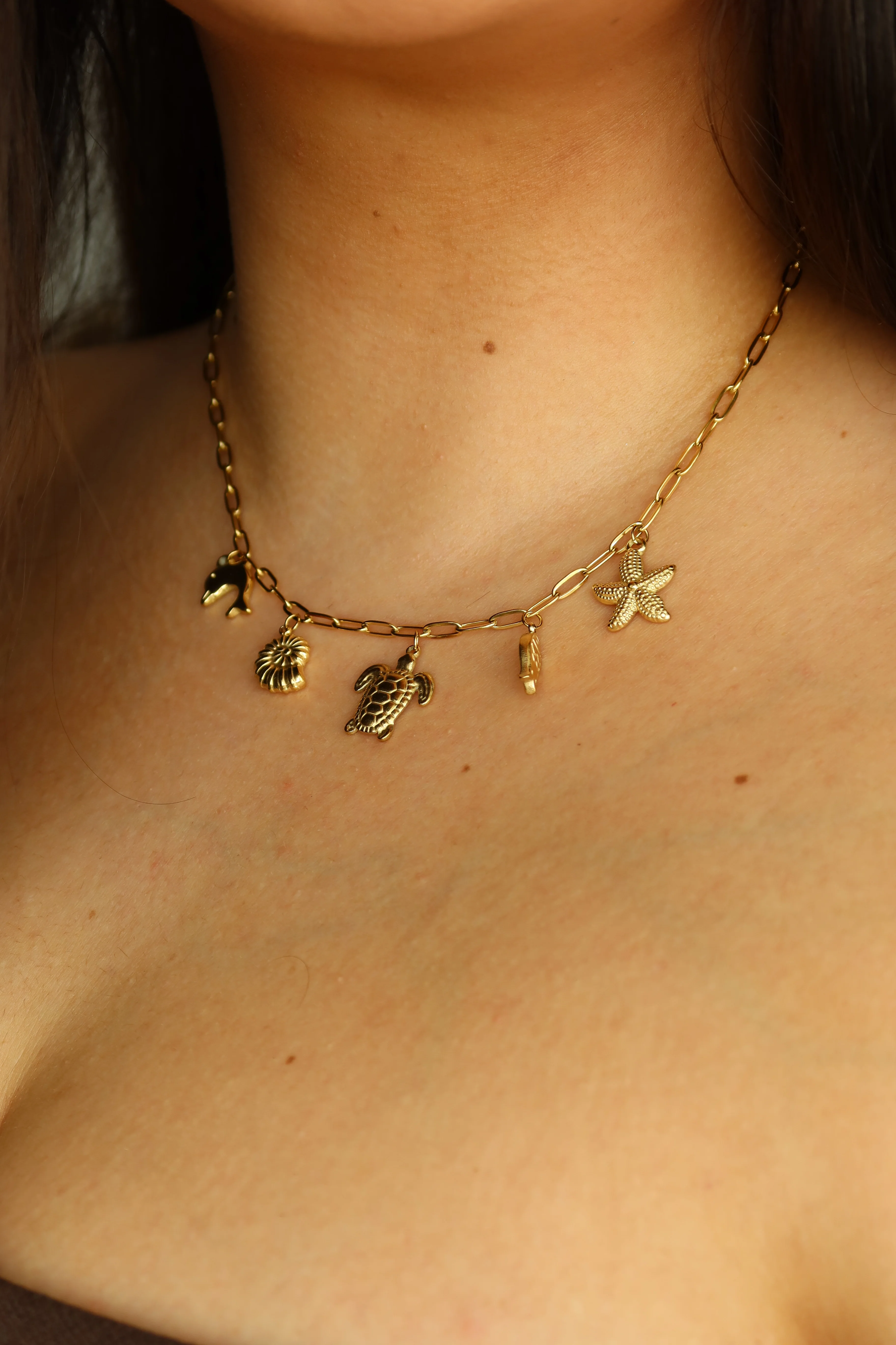 Joyas Acero